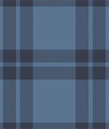 IMAGE_T