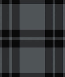 IMAGE_T