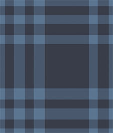 IMAGE_T