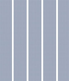 IMAGE_T