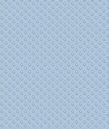 IMAGE_T