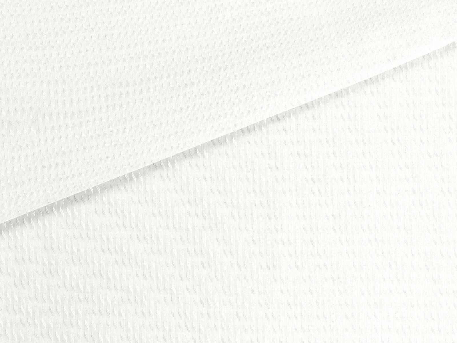 IMAGE_L