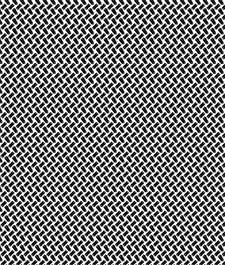 IMAGE_T