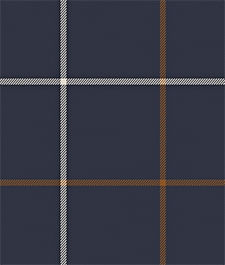 IMAGE_T