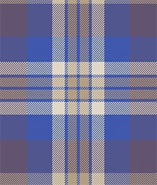 IMAGE_T