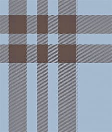 IMAGE_T