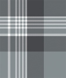 IMAGE_T