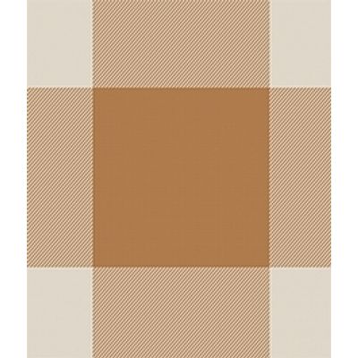 IMAGE_T