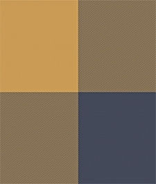 IMAGE_T