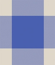 IMAGE_T