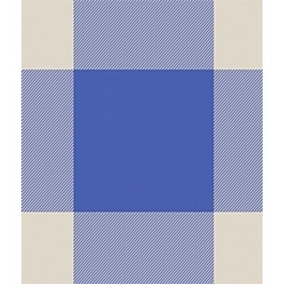 IMAGE_T