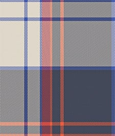 IMAGE_T