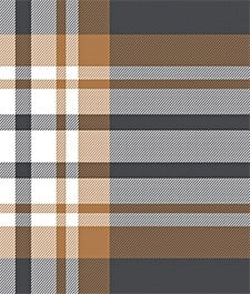 IMAGE_T