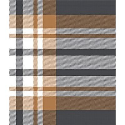 IMAGE_T