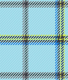 IMAGE_T