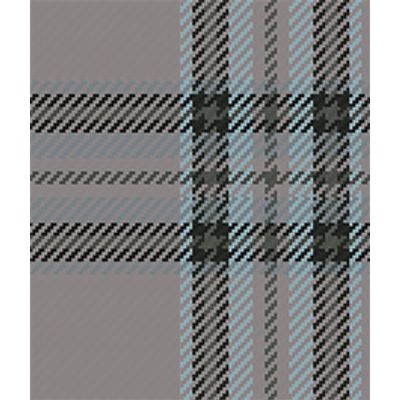 IMAGE_T