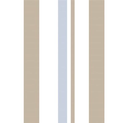 IMAGE_T