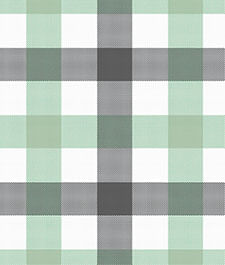 IMAGE_T