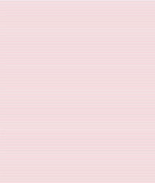 IMAGE_T