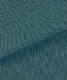 IMAGE_T