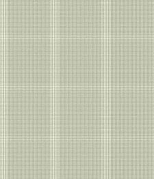 IMAGE_T