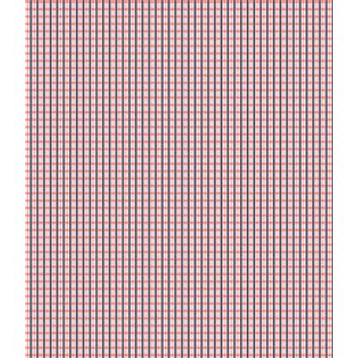 IMAGE_T