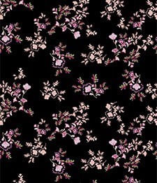 IMAGE_T