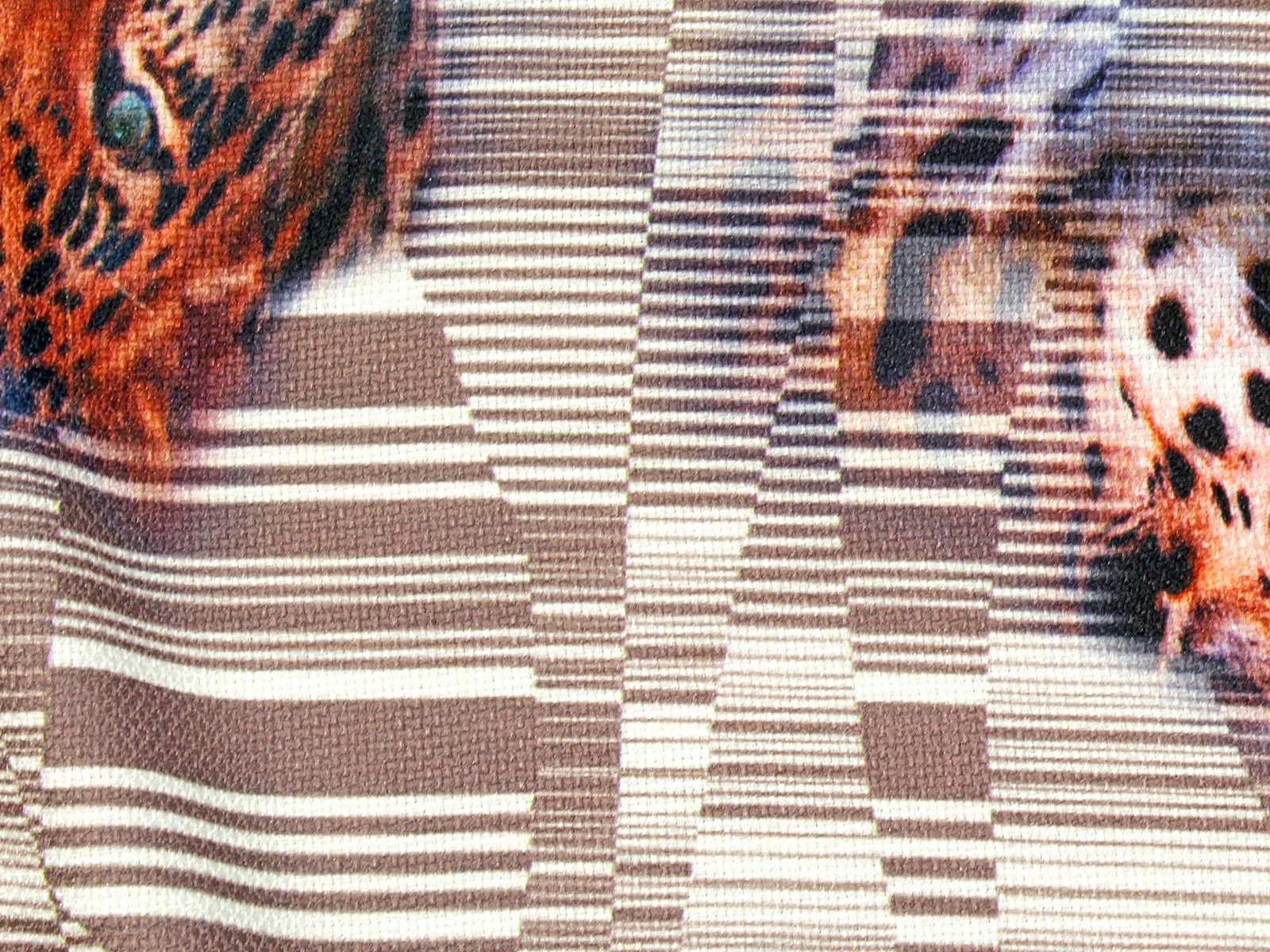 IMAGE_L