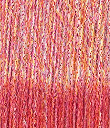 IMAGE_T