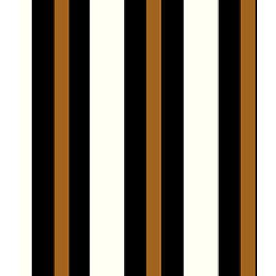 IMAGE_T