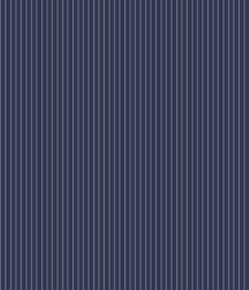 IMAGE_T