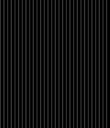 IMAGE_T