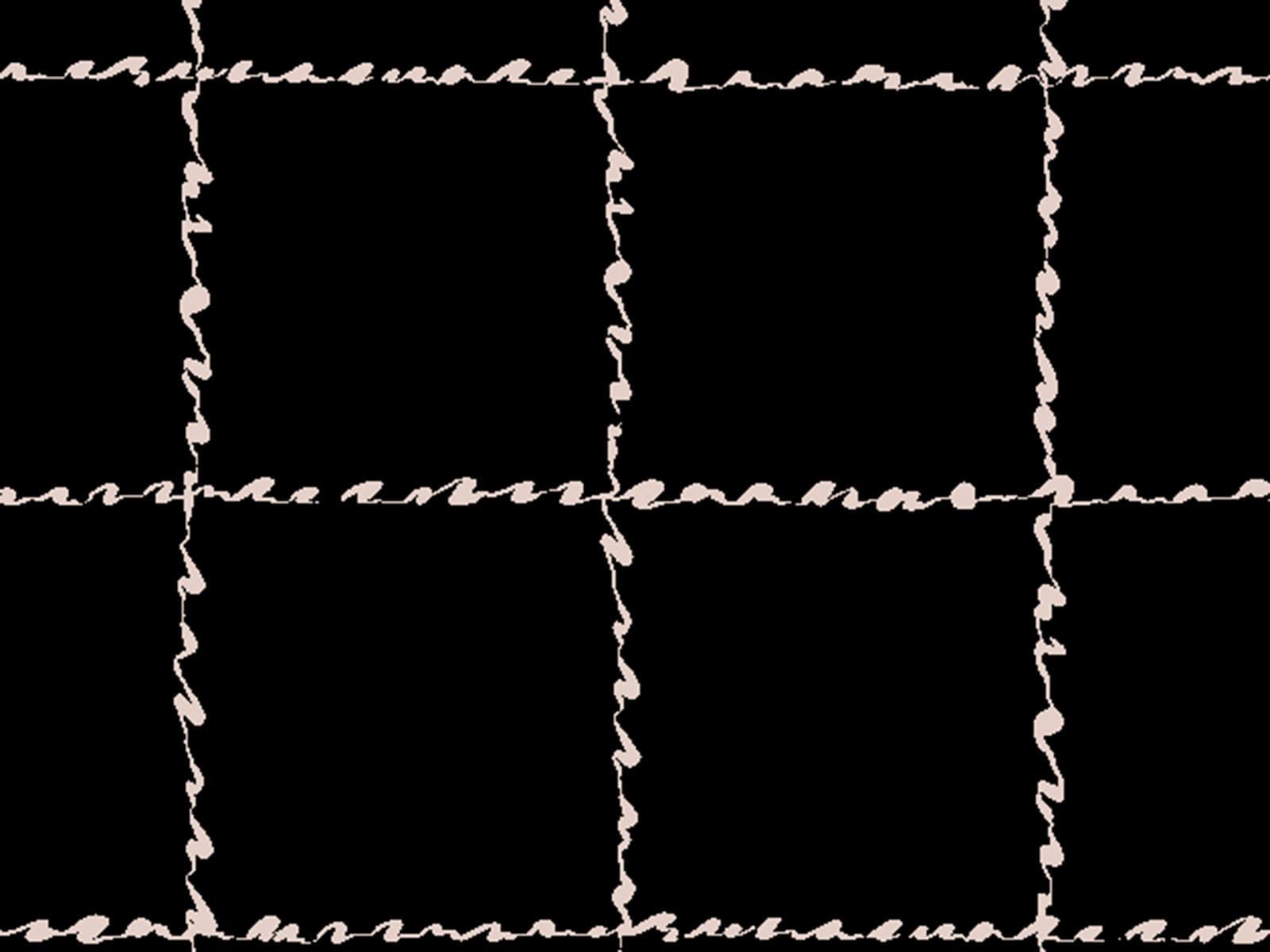 IMAGE_L