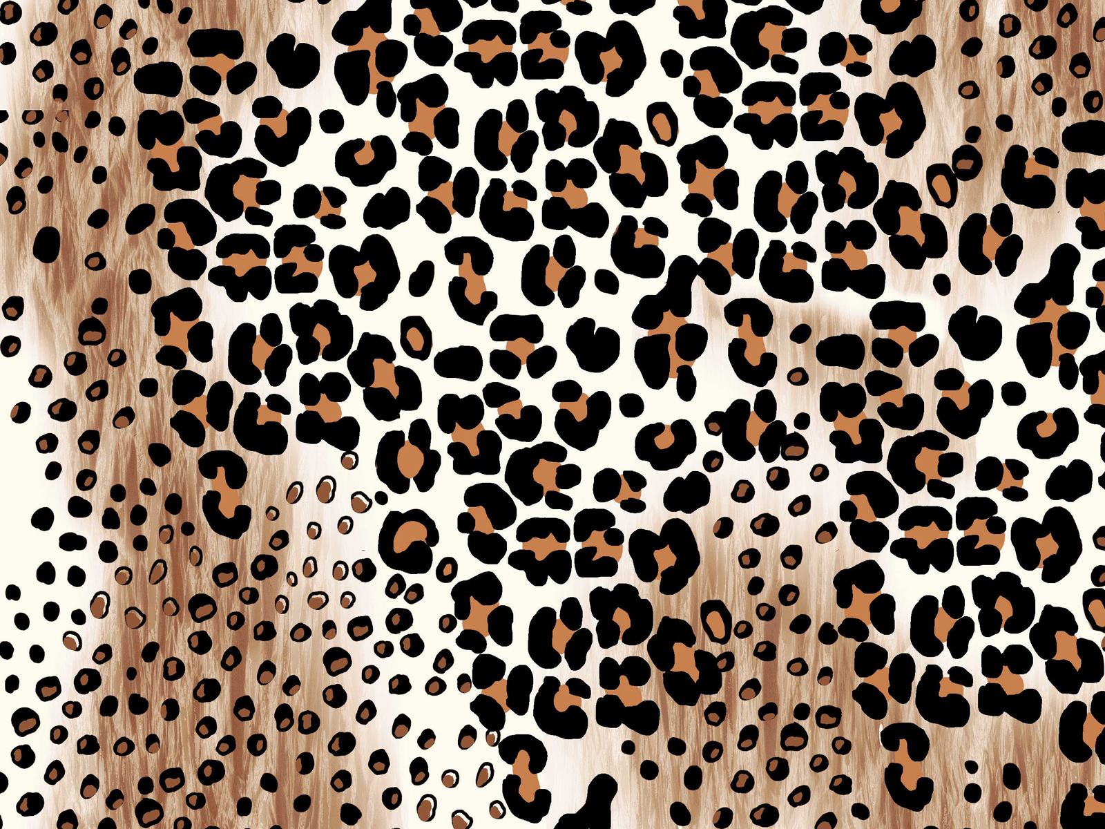 IMAGE_L