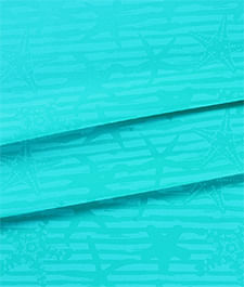 IMAGE_T