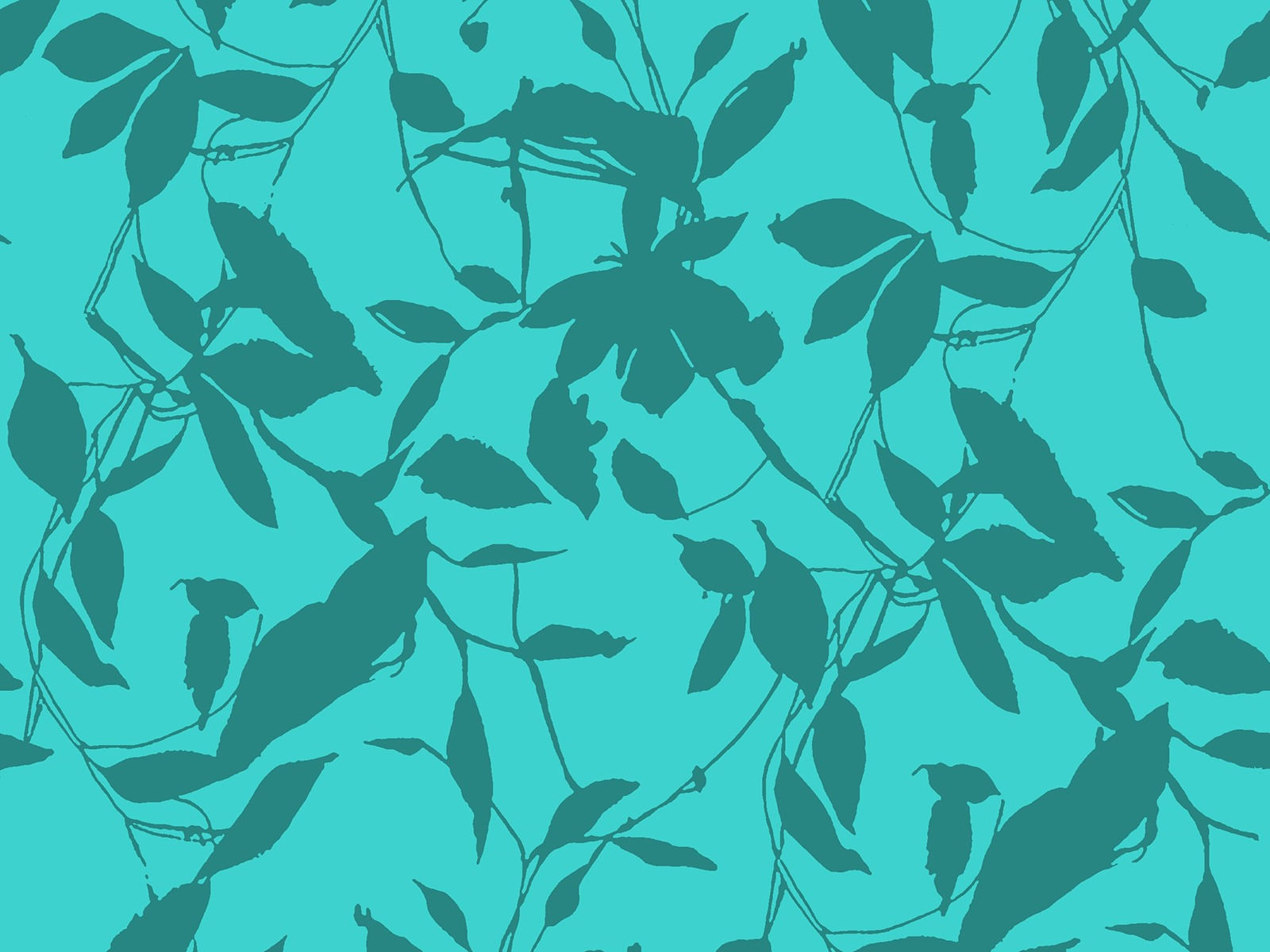 IMAGE_L