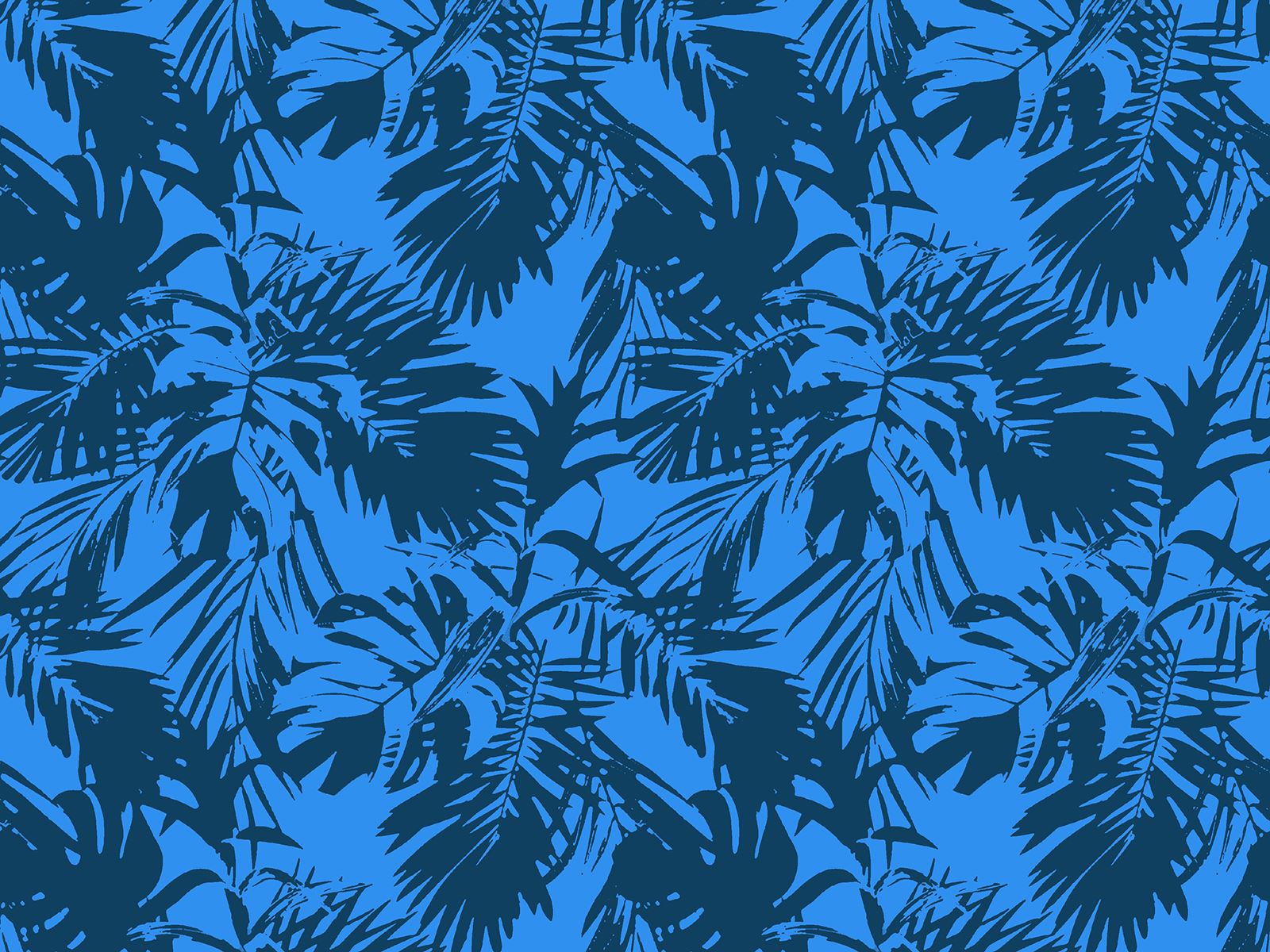 IMAGE_L