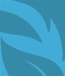IMAGE_T