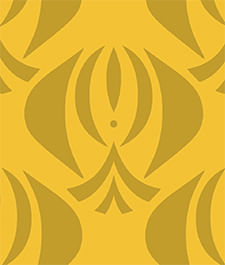 IMAGE_T