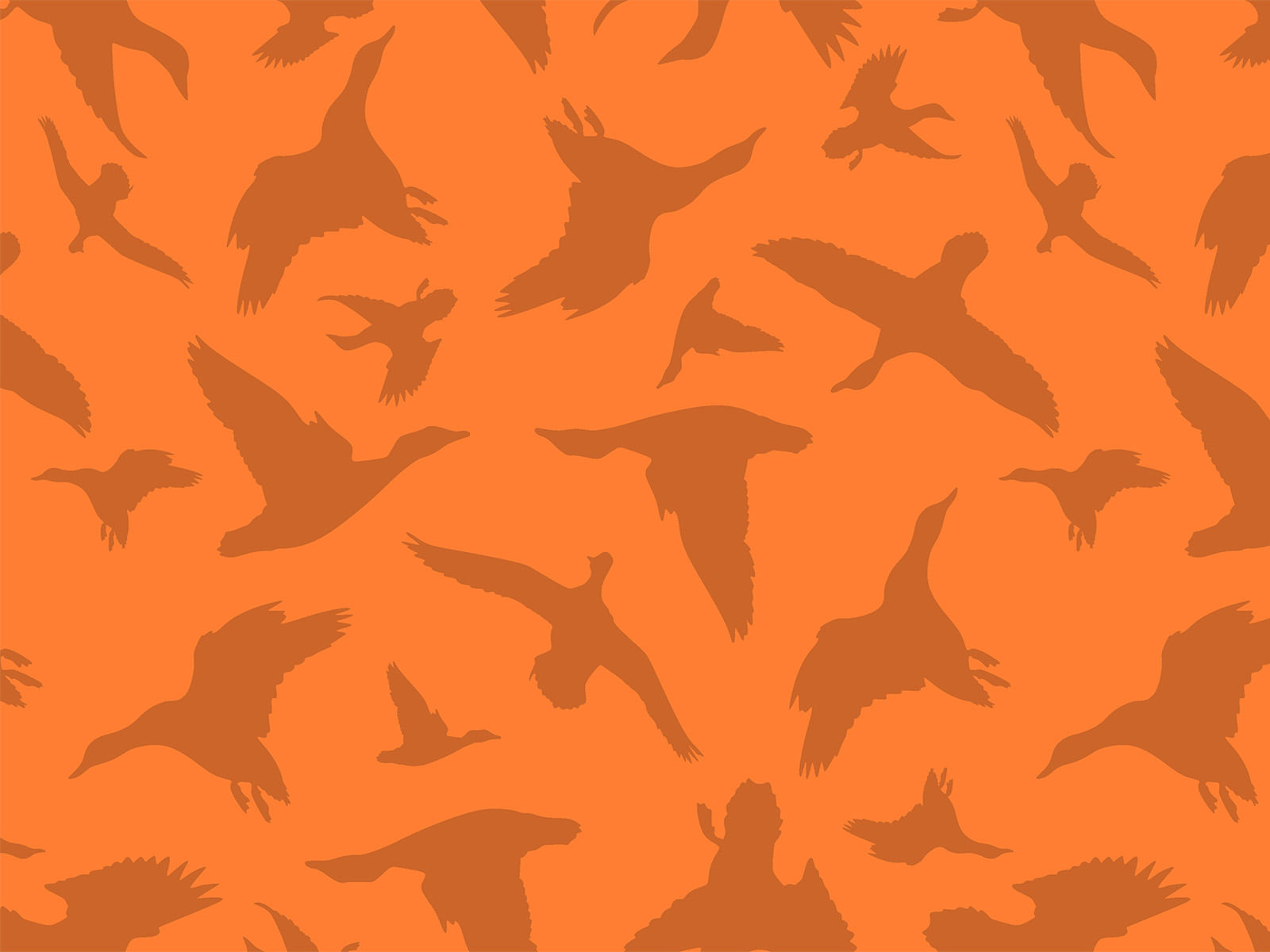 IMAGE_L