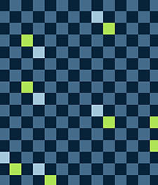 IMAGE_T