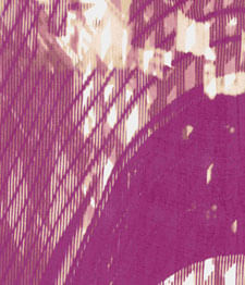 IMAGE_T