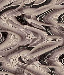 IMAGE_T