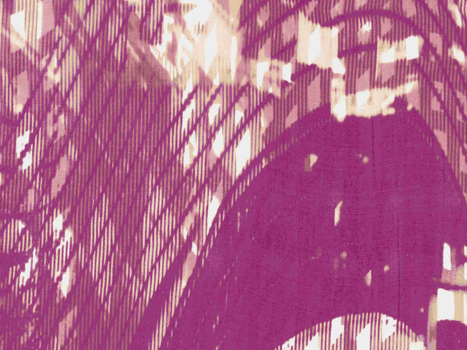 IMAGE_L
