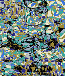 IMAGE_T