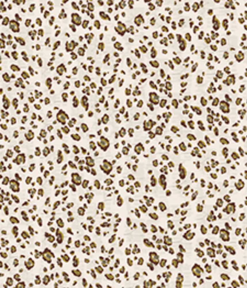 IMAGE_T