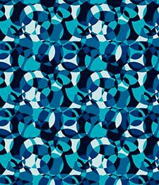 IMAGE_T