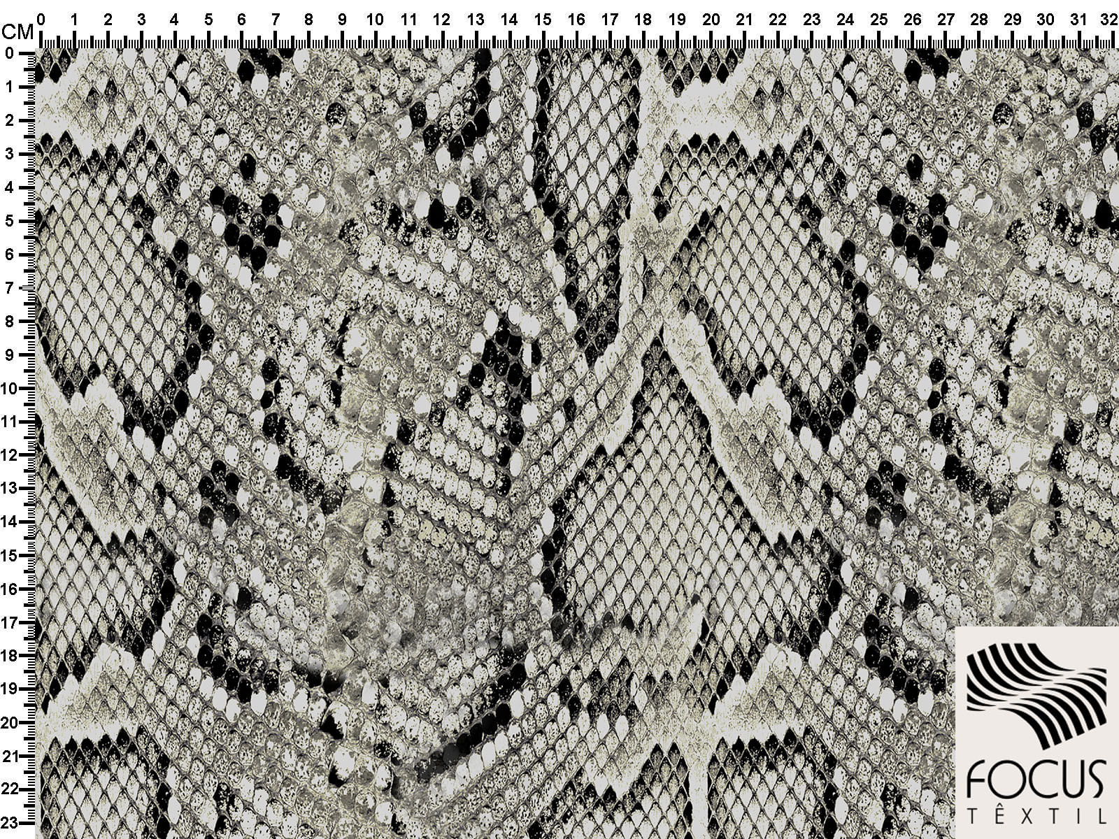 IMAGE_L