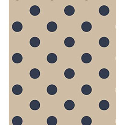 IMAGE_T