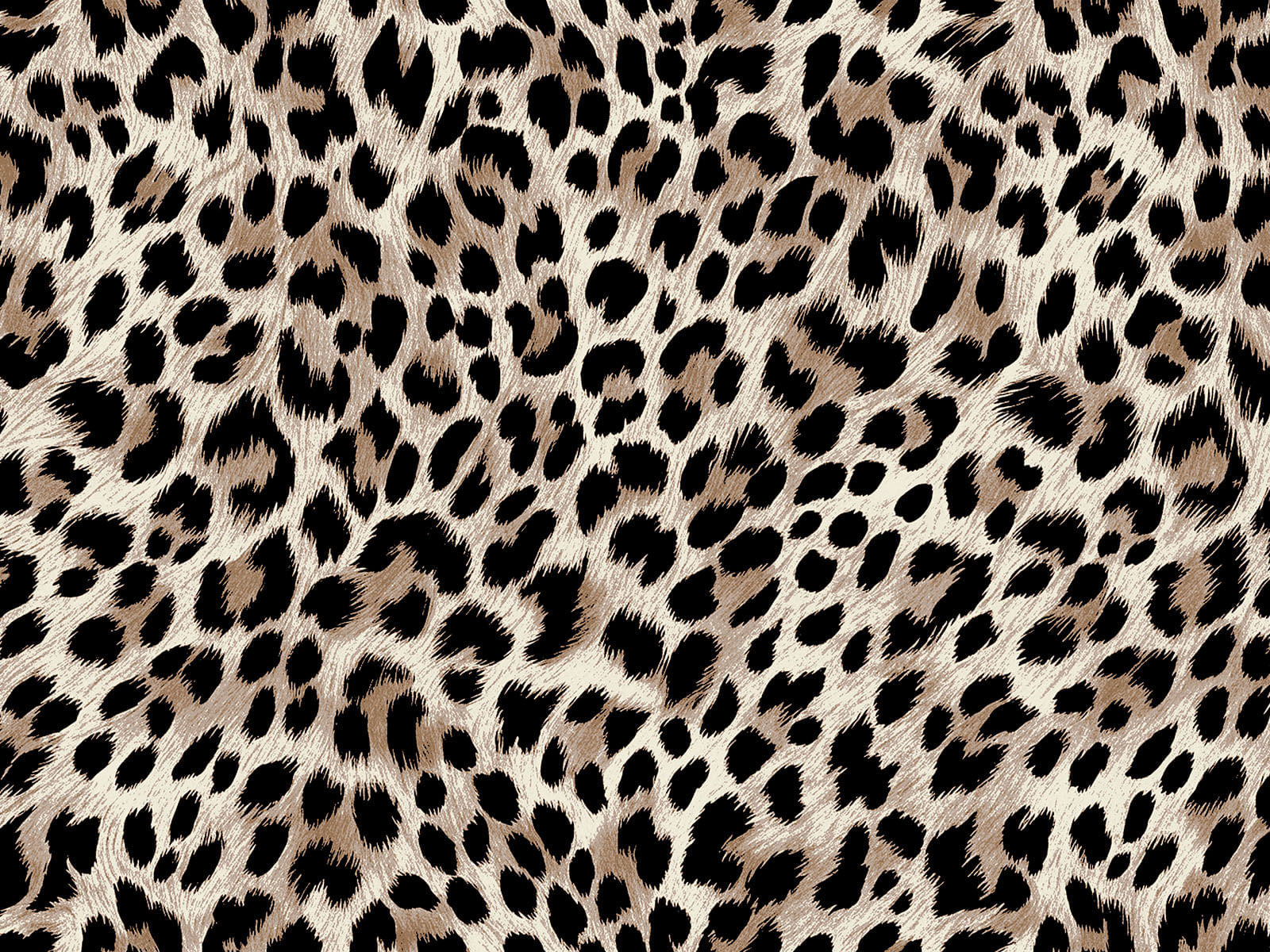 IMAGE_L